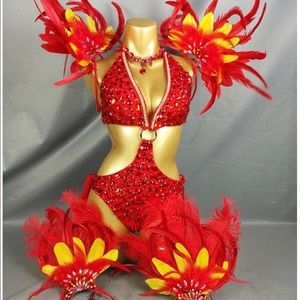 Carnival/Samba/Mas Costume